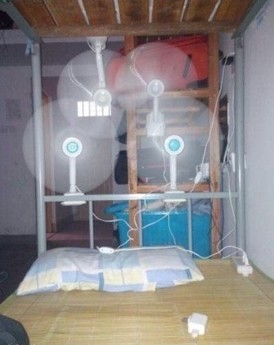 五花八門的避暑奇招:自制空調(diào)成本不足200