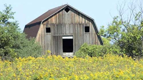 盤點(diǎn)世界各地囧囧可愛的建筑神作