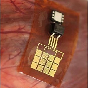 世界奇聞 心跳可用來充電？