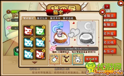 混亂的鬧貓季 《三國(guó)喵喵傳》貓寵暴動(dòng)