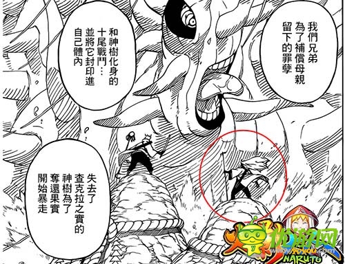 漫迷們?nèi)f眾期待的手游 《火影大人》新忍者預(yù)測