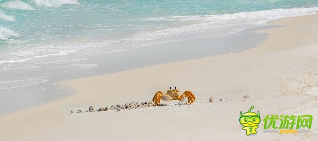 2014年手游IP爭奪 吃第一口螃蟹的會是誰?