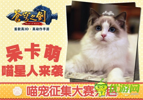 喵星人來襲 「蒼穹之劍3D」喵寵征集大賽開啟