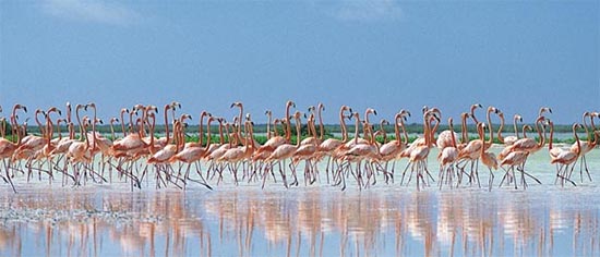 物盡其用人盡其才 一個(gè)好的IP改怎么運(yùn)營