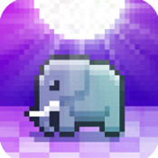 迪斯科動(dòng)物園