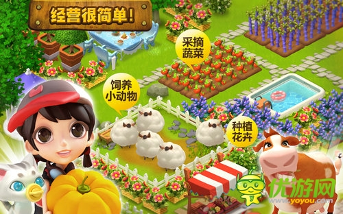 開心島截圖欣賞