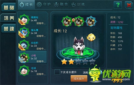 《神域之光》新增寵物融合 培育破壞王“哈士奇”