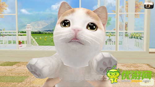 小貓萌萌噠 LONFUN新作《心動小貓》曝光