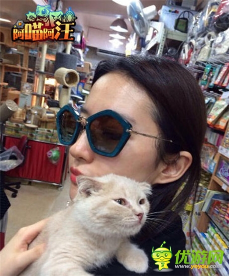 貓狗大對決《阿喵阿汪》明星聲援團