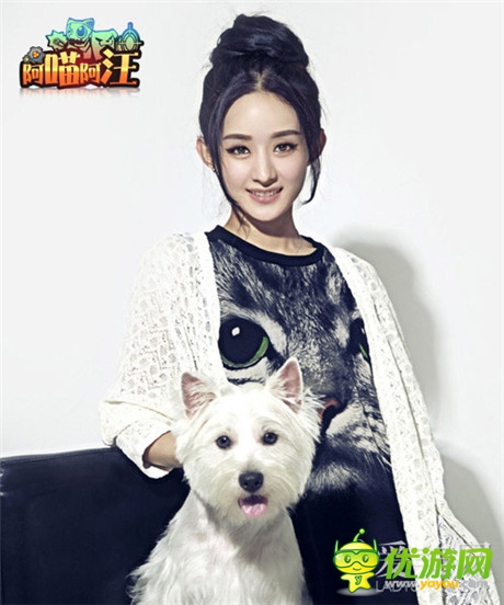 貓狗大對決《阿喵阿汪》明星聲援團