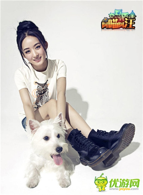 貓狗大對決《阿喵阿汪》明星聲援團