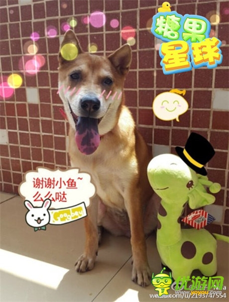 感恩活動(dòng)上線《糖果星球》新版推出