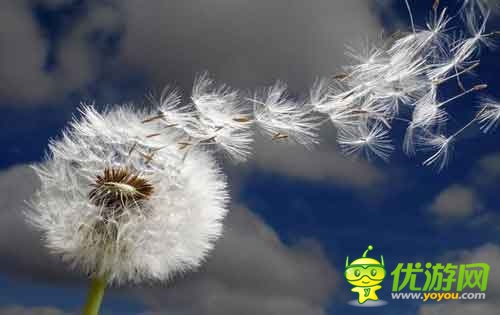 手游用戶體驗(yàn)到底是什么？