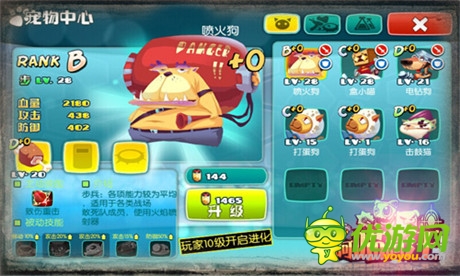 并肩作戰(zhàn)闖天下《阿喵阿汪》寵物搭配大揭秘