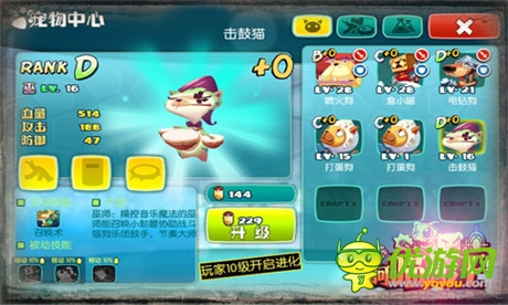 并肩作戰(zhàn)闖天下《阿喵阿汪》寵物搭配大揭秘