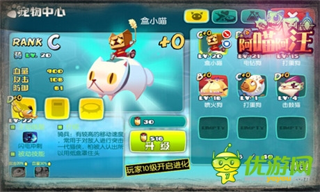 萌萌噠《阿喵阿汪》搞笑戰(zhàn)斗寵物大起底(一)