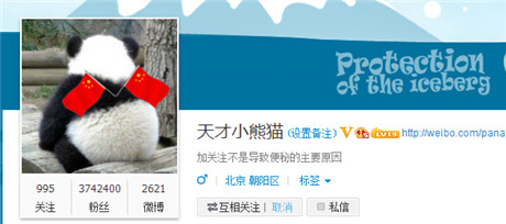 特別八卦:揭露天才小熊貓和嘟嘟海的私情