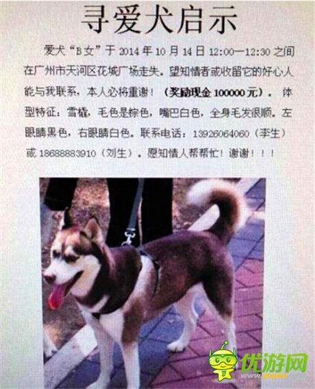 土豪神獸的生活 天拓游戲《倚天》寵物全接觸