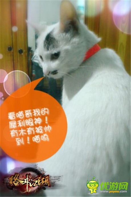 高手在民間《格斗江湖》玩家惡搞斗寵大賽