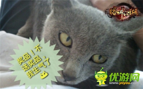 高手在民間《格斗江湖》玩家惡搞斗寵大賽