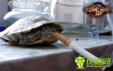 高手在民間《格斗江湖》玩家惡搞斗寵大賽