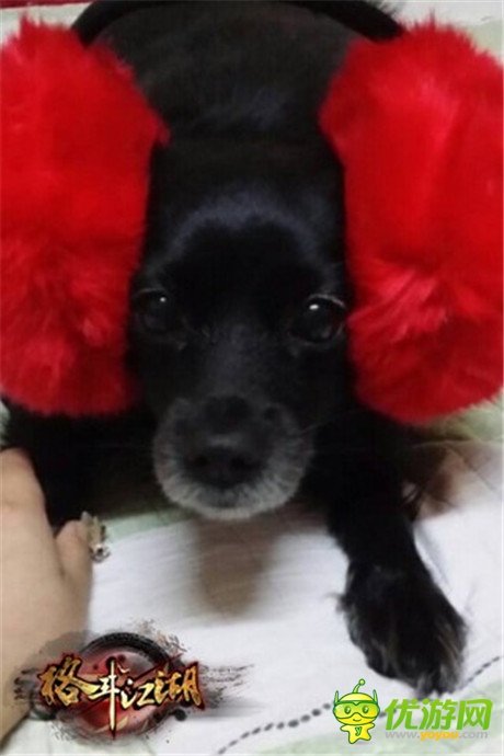 高手在民間《格斗江湖》玩家惡搞斗寵大賽