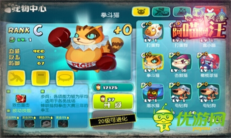 《阿喵阿汪》耍寶搞笑戰(zhàn)斗寵物大起底(三)