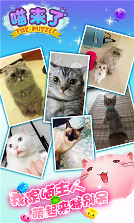 喵新人賣萌大賽《喵來了》代言人征選開啟