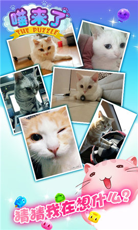 喵新人賣萌大賽《喵來了》代言人征選開啟