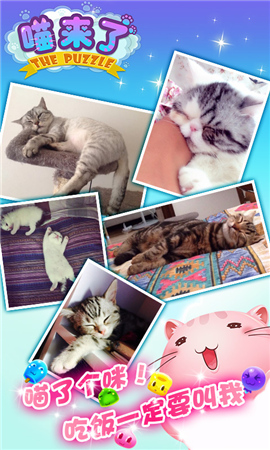 喵新人賣萌大賽《喵來了》代言人征選開啟