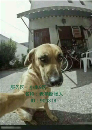 歡樂GO!《天天掛機》玩家曬標志性建筑