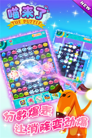 喵星人的賣萌生活《喵來(lái)了》有愛(ài)大揭秘