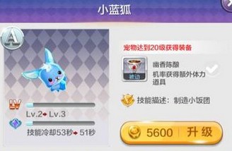 天天風之旅新手前期最強裝備攻略