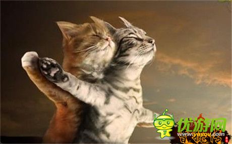 等級(jí)界限突破 3k玩《曹操傳》五大改版資訊曝光