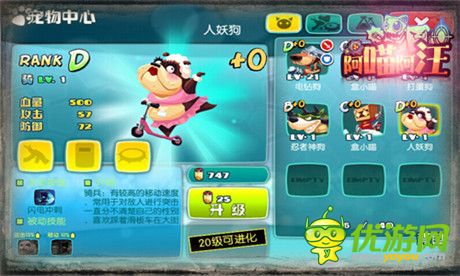 《阿喵阿汪》耍寶搞笑戰(zhàn)斗寵物大起底