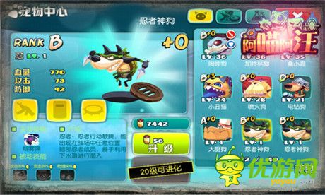 《阿喵阿汪》耍寶搞笑戰(zhàn)斗寵物大起底