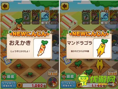 想你所想 種你所種《這是根菜 胡蘿卜篇》評(píng)測(cè)