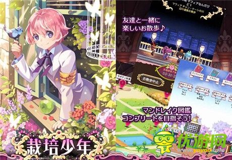 栽培少年截圖欣賞