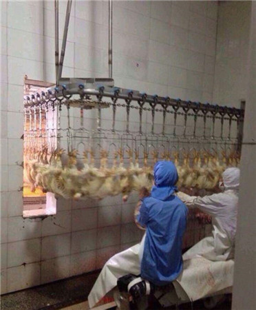 玩家爆笑演繹《天天掛機(jī)》