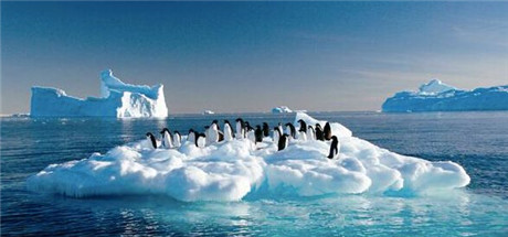 蘋果SB嗎?1元特價區(qū)是否會打破App Store生態(tài)?