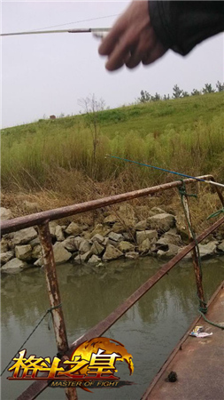 亮瞎雙眼!《格斗之皇》土豪穿衣炫富無下限!