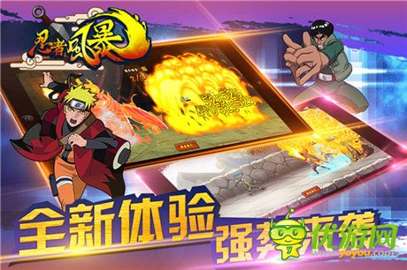 忍者風(fēng)暴截圖欣賞